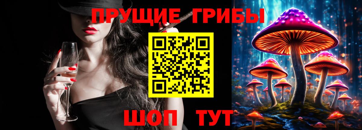 Псков  Галлюциногенные грибы Cubensis  Вход с VPN 
